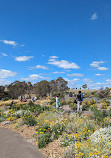 Australian Botanic Garden Mount Annan