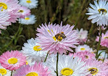 Australian Botanic Garden Mount Annan