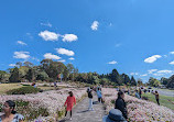 Australian Botanic Garden Mount Annan