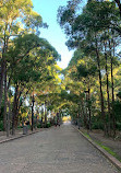 Australian Botanic Garden Mount Annan