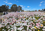 Australian Botanic Garden Mount Annan