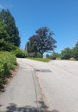 Queen Elizabeth Park