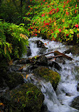 Multnomah Falls