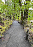 Multnomah Falls