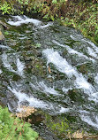 Multnomah Falls