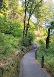 Multnomah Falls Parking