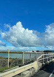 Auckland Airport