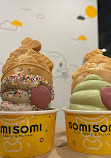 SOMISOMI