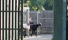 Goats Park