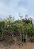 باغ گیاه شناسی بارسلونا