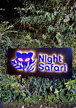 Night Safari