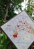 Singapore Botanic Gardens