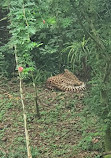 Singapore Zoo