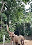 Singapore Zoo