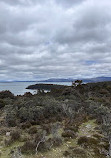 Great lakes lookout