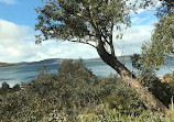 Great lakes lookout