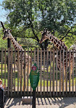 Brookfield Zoo