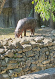 Brookfield Zoo