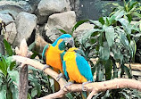 Brookfield Zoo