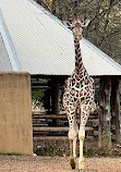 Brookfield Zoo