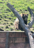 Oakland Zoo