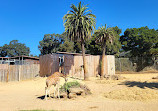 Oakland Zoo