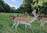 Phoenix Park