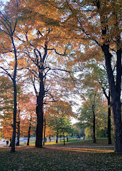 Mount Royal Chalet