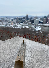 Mount Royal Chalet