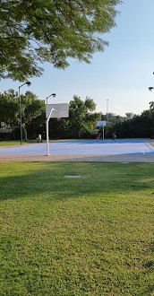 Quadra de basquete