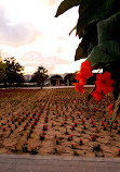 Al Warqa Garden