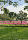 Al Warqa Garden