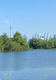 Toronto Bicycle Tours