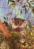 WILD LIFE Sydney Zoo