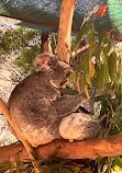 WILD LIFE Sydney Zoo