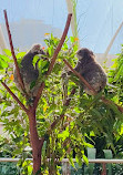 WILD LIFE Sydney Zoo