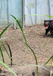 WILD LIFE Sydney Zoo