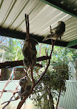 Featherdale Sydney Wildlife Park