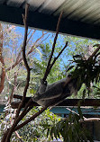 Featherdale Sydney Wildlife Park