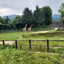 Seoul Zoo