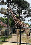 Giraffenpark