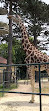 Giraffenpark