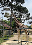 Giraffenpark