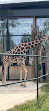 Giraffenpark