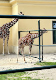 Giraffenpark