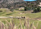 San Diego Zoo Safari Park