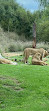 San Diego Zoo Safari Park