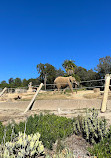 San Diego Zoo Safari Park