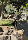 San Diego Zoo Safari Park