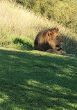 San Diego Zoo Safari Park